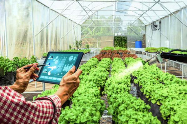 خرید کنترلر پیامکی یانسون